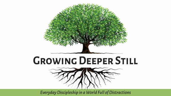 Growing Deeper Still - Vision Sunday Image
