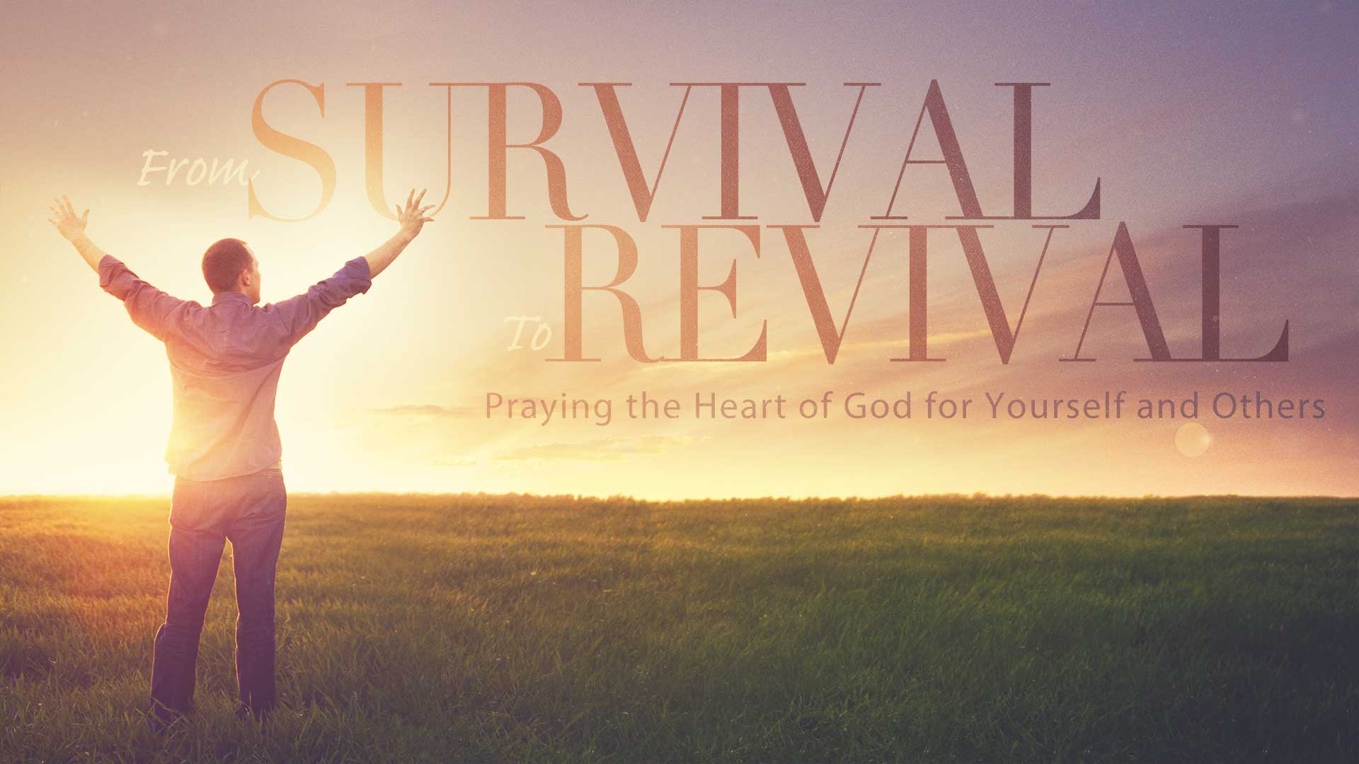 From Survival to Revival: Week 11 Image