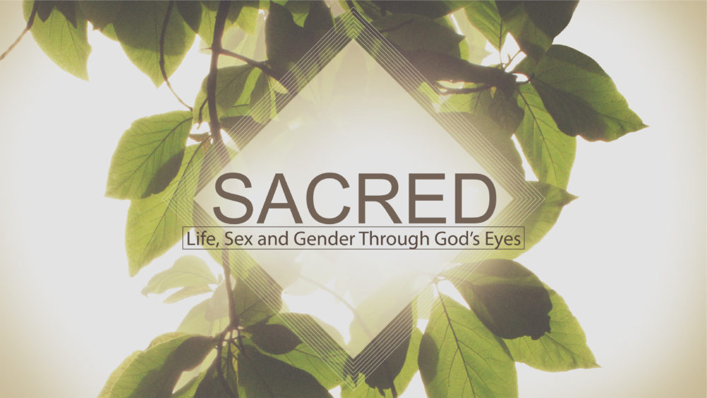 Sacred: Life, Sex, and Gender through God\'s Eyes