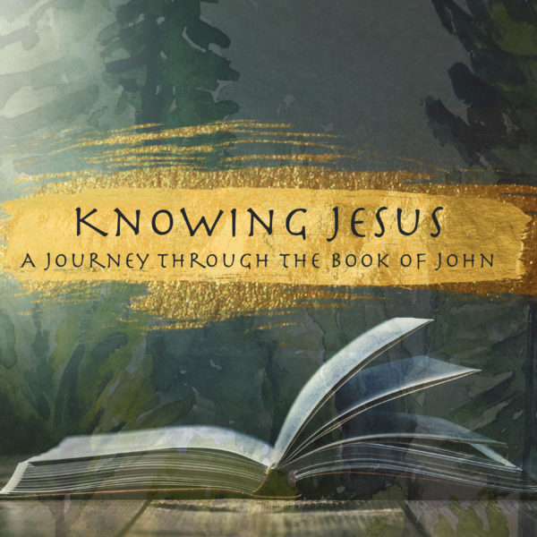 Knowing Jesus: John 3:16-21 Image