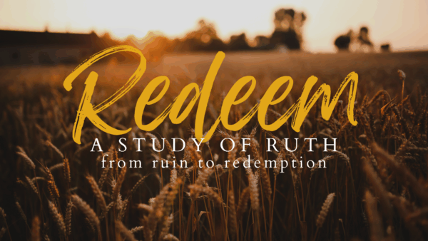 Ruth 4:11-17 Image